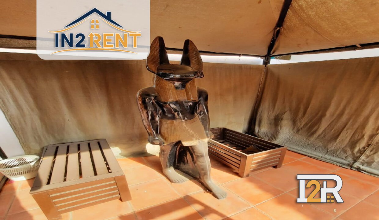 WhatsApp Image 2026-02-05 at 2.12.35 PM_result