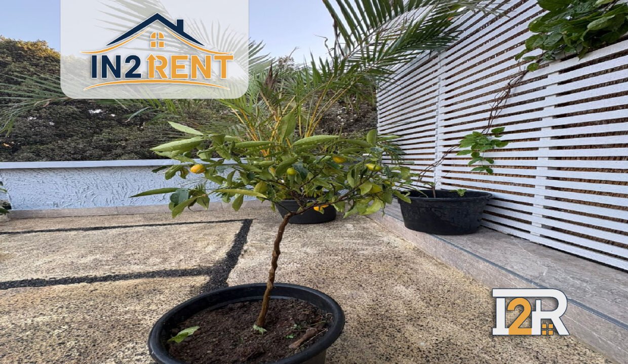 WhatsApp Image 2026-02-09 at 3.25.02 PM (1)_result