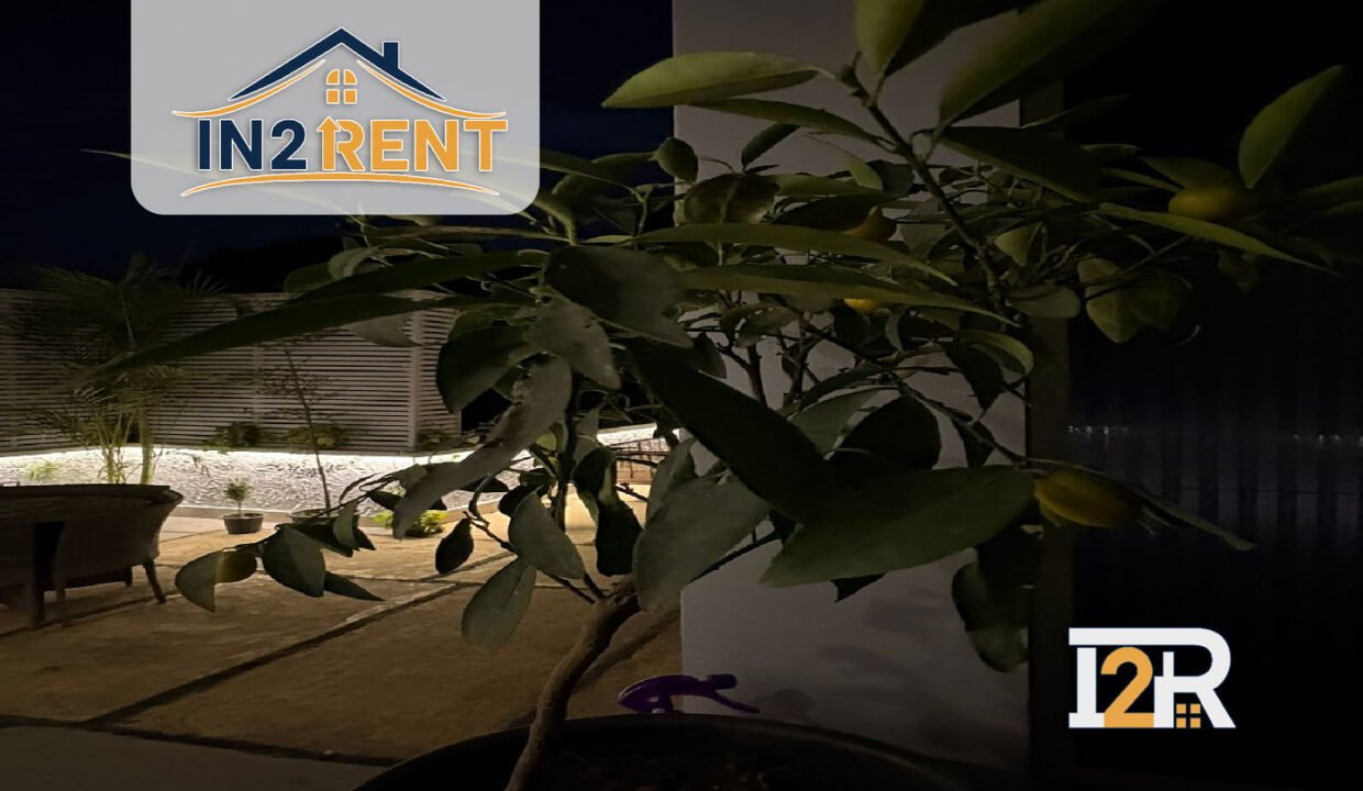 WhatsApp Image 2026-02-09 at 3.25.12 PM (1)_result